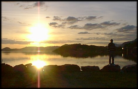 De vogels gaan naar hun bedje toe